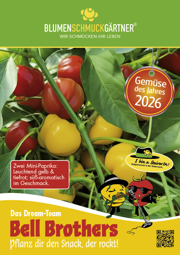 PLAKAT GdJ 26